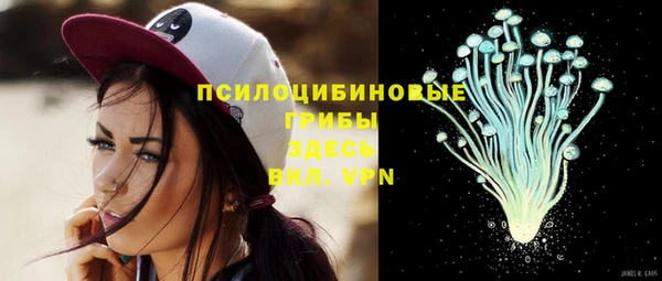 ПСИЛОЦИБИНОВЫЕ ГРИБЫ Краснотурьинск
