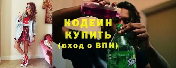прущий лед Алзамай