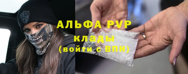 прущий лед Алзамай