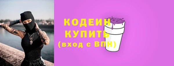прущий лед Алзамай