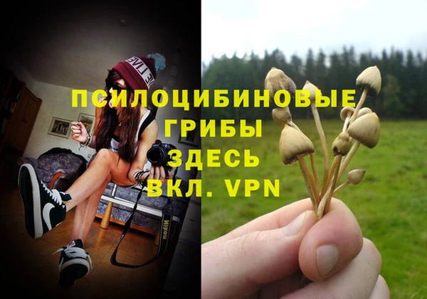 прущий лед Алзамай