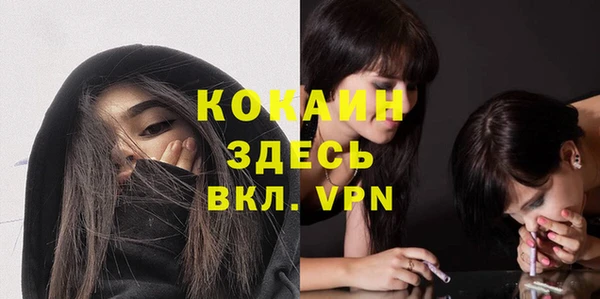 прущий лед Алзамай