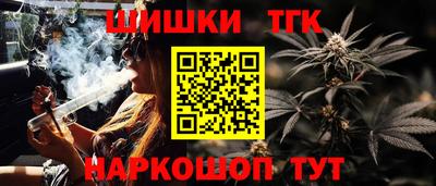СК Обь