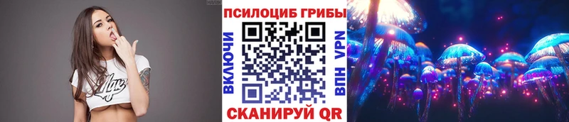 kraken зеркало  Тейково  Галлюциногенные грибы мухоморы 