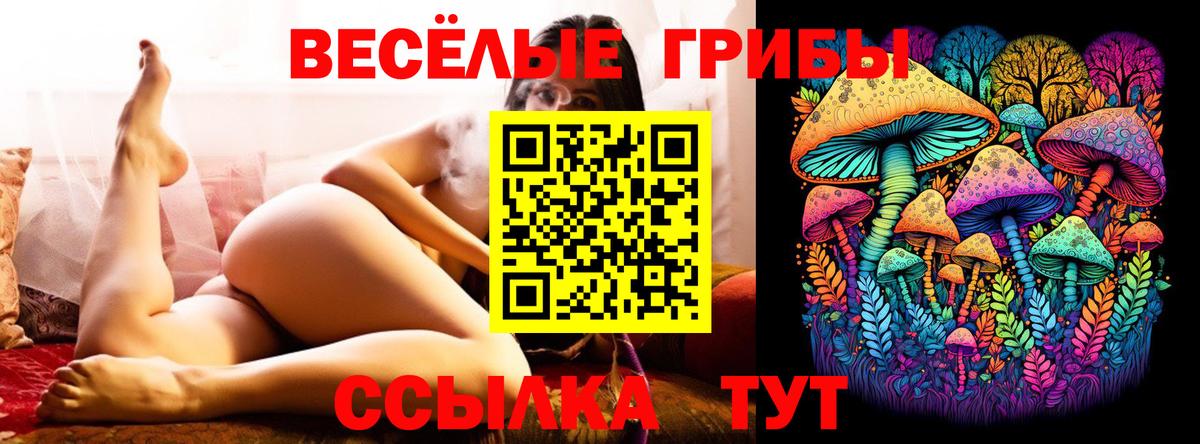 Псилоцибиновые грибы ЛСД  Галлюциногенные грибы мицелий  Тейково  Вход с VPN 
